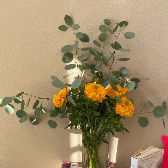 Meet your Posher, Jasmine - Picture 1 of 1